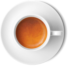 CAFFE GELATO MIX 12 x 1 LTR - READY TO USE